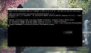Screenshot of running command in Terminal to capture entire network's traffic