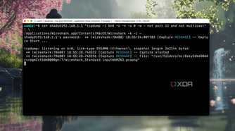 Screenshot of running command in Terminal to capture entire network's traffic