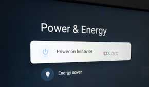 Power & Energy settings on a TV