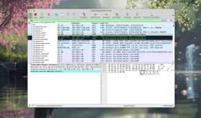 Using filters for packet flags in Wireshark