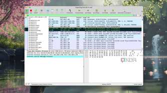 Using filters for packet flags in Wireshark
