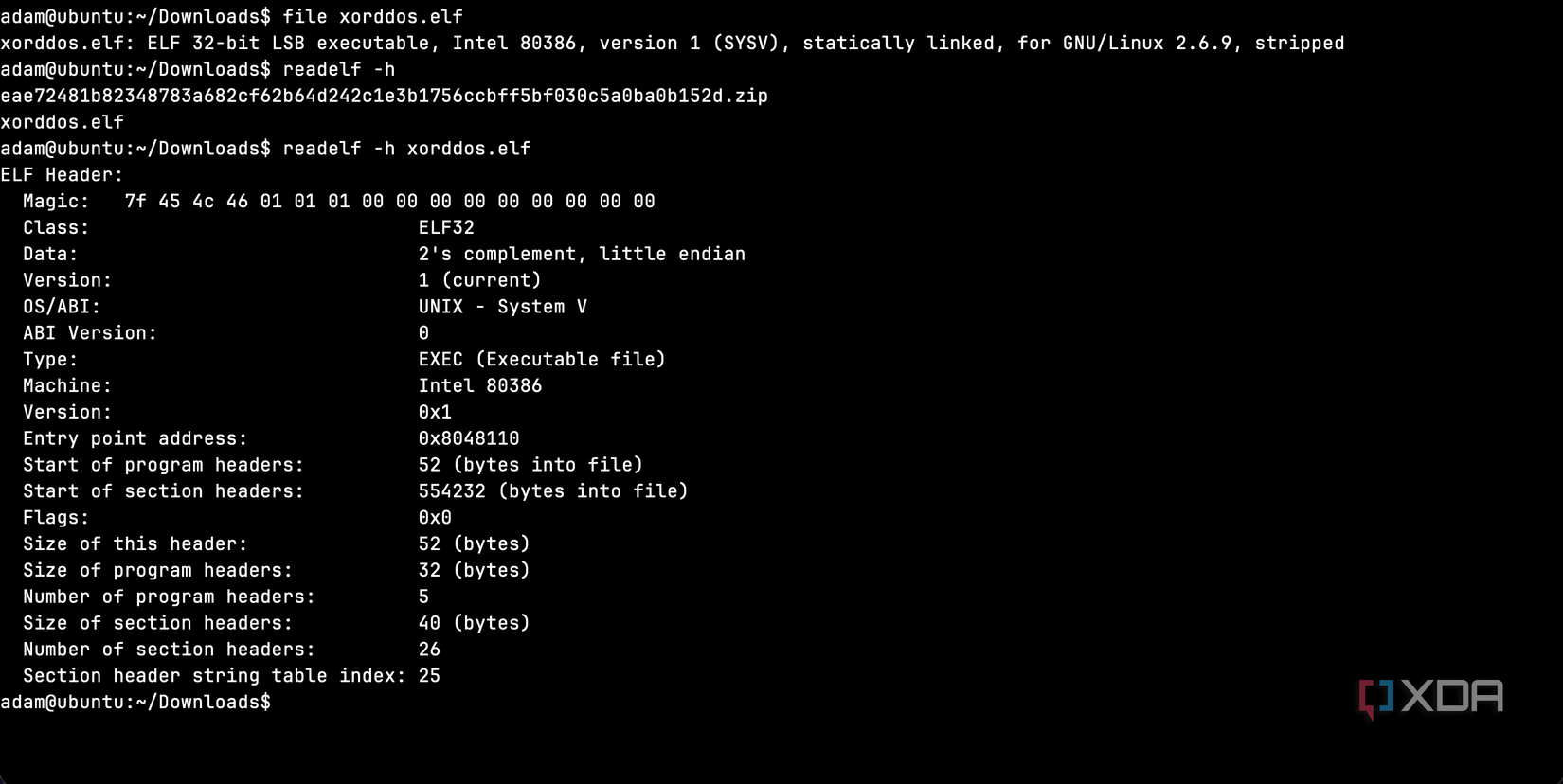 XorDDoS binary information wiith "file" and readelf