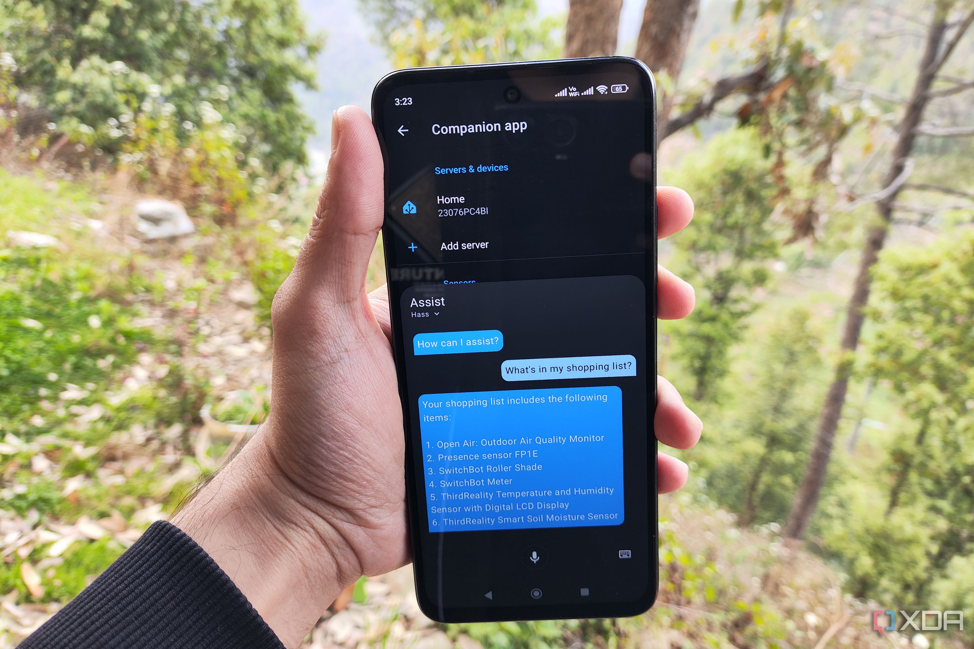 Using the Assist feature on the Home Assistant Companion app