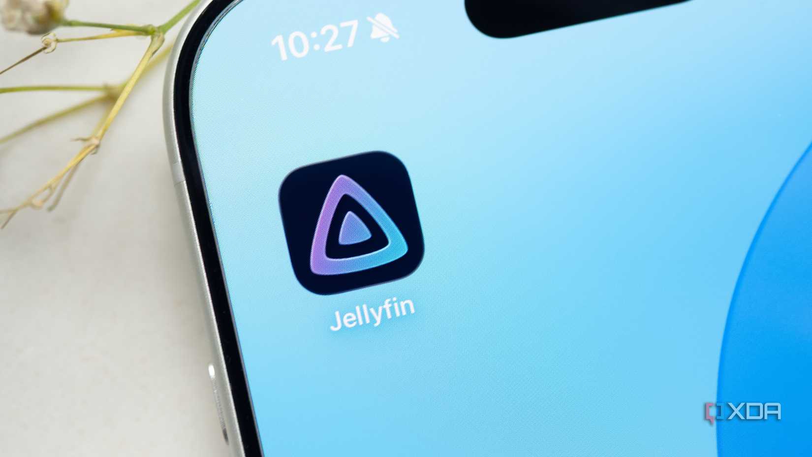 I couldn’t get Jellyfin remote streaming working until I found this app