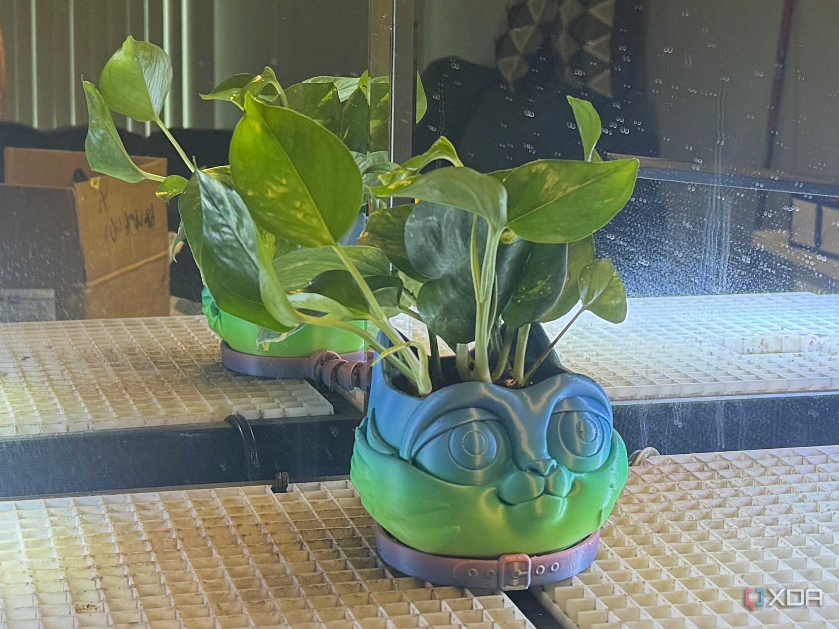 plant growing in 3D printed pot