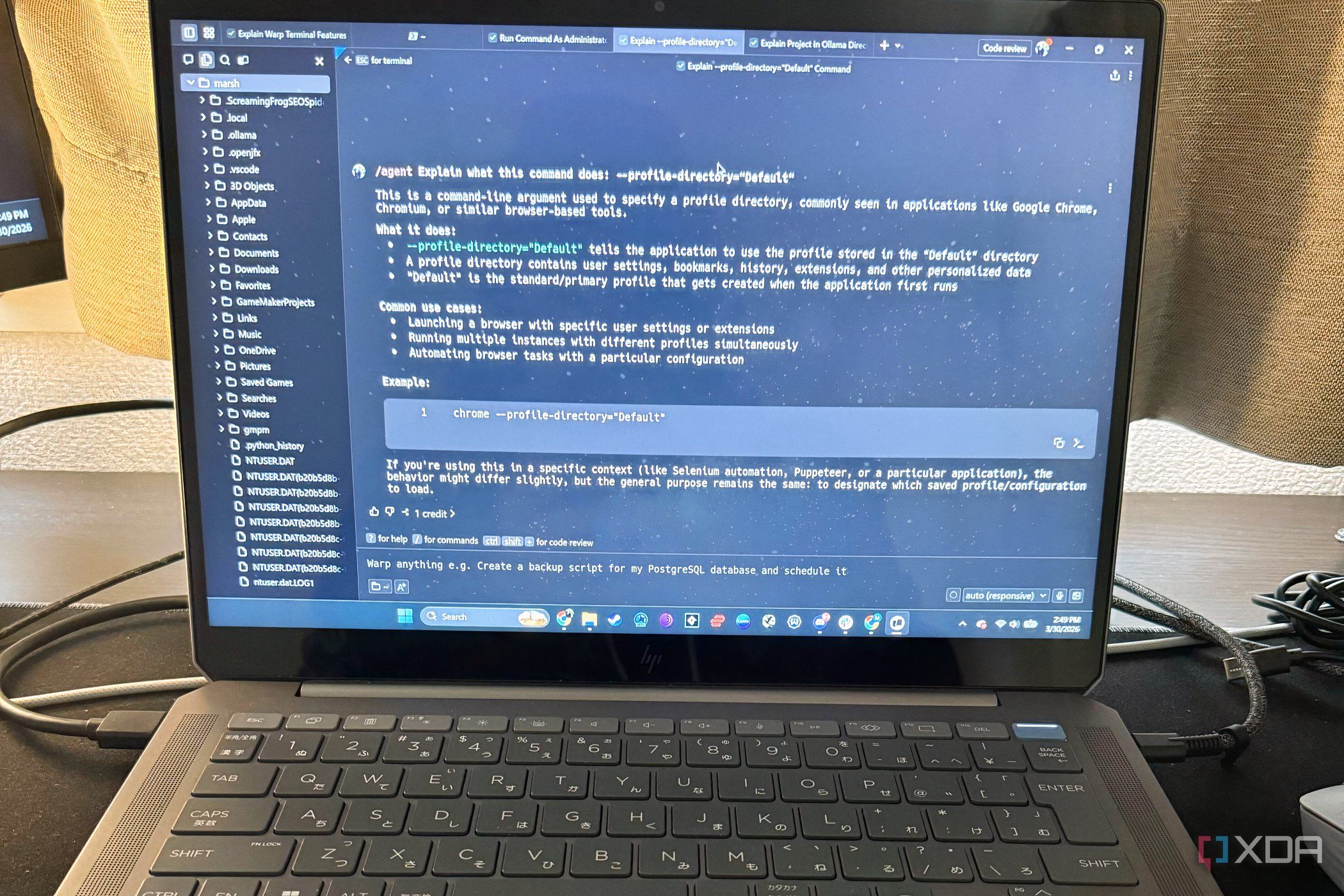 windows11 | XDA