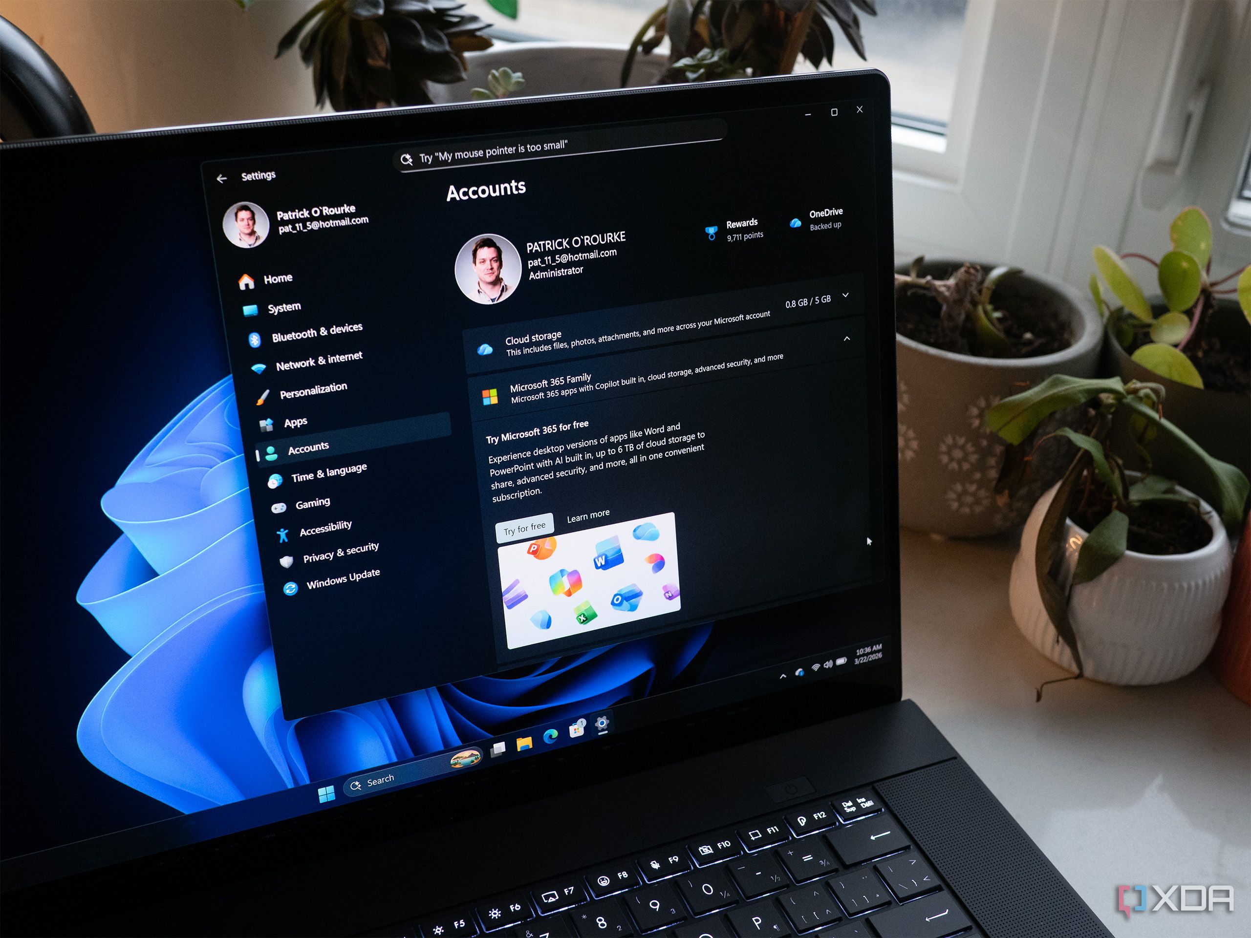 Windows 11 accounts