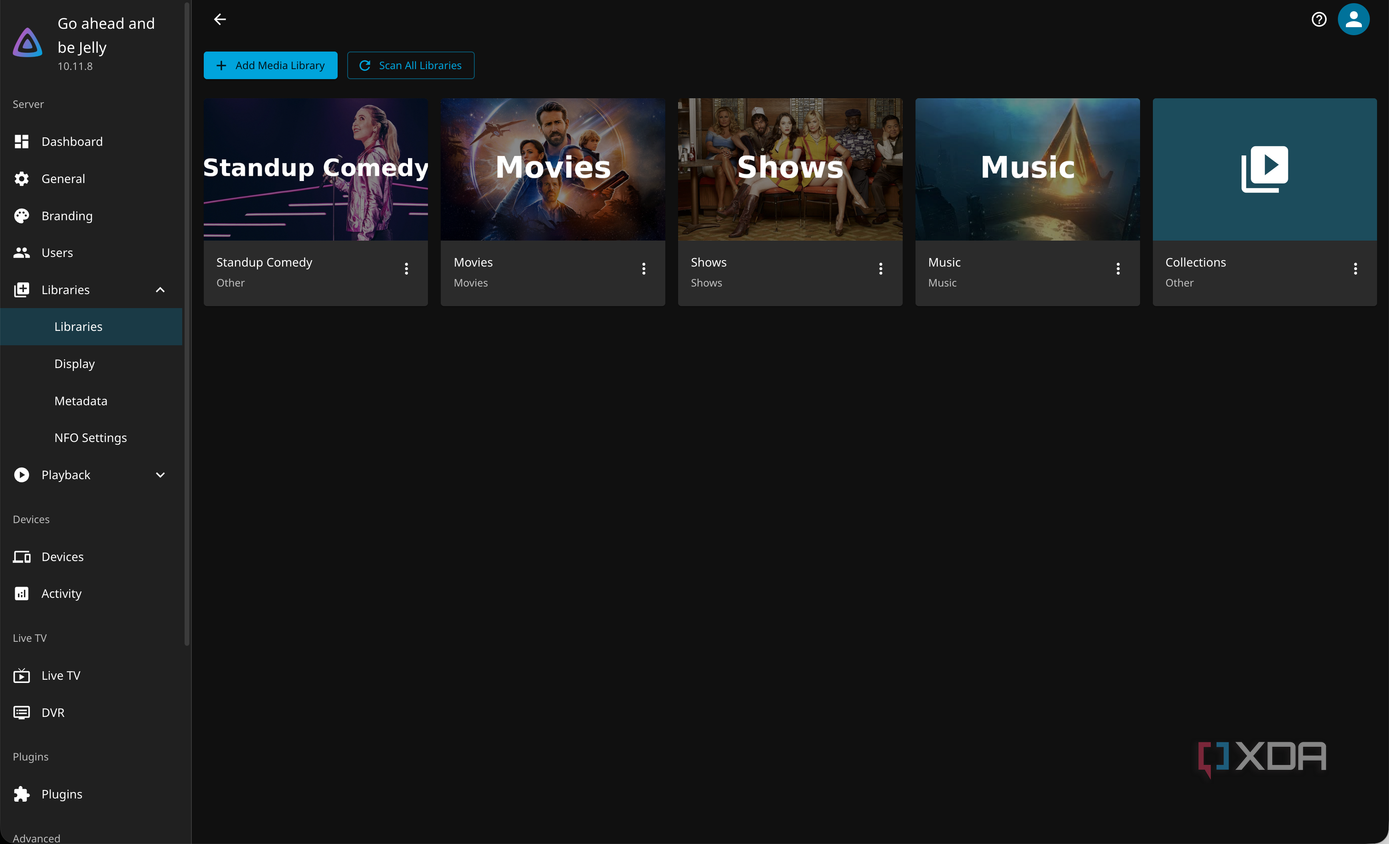 Jellyfin Libraries_5