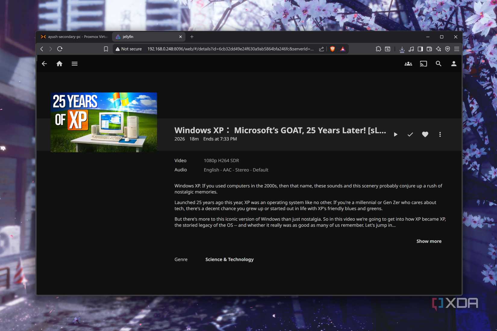 An archived video accessible on Jellyfin