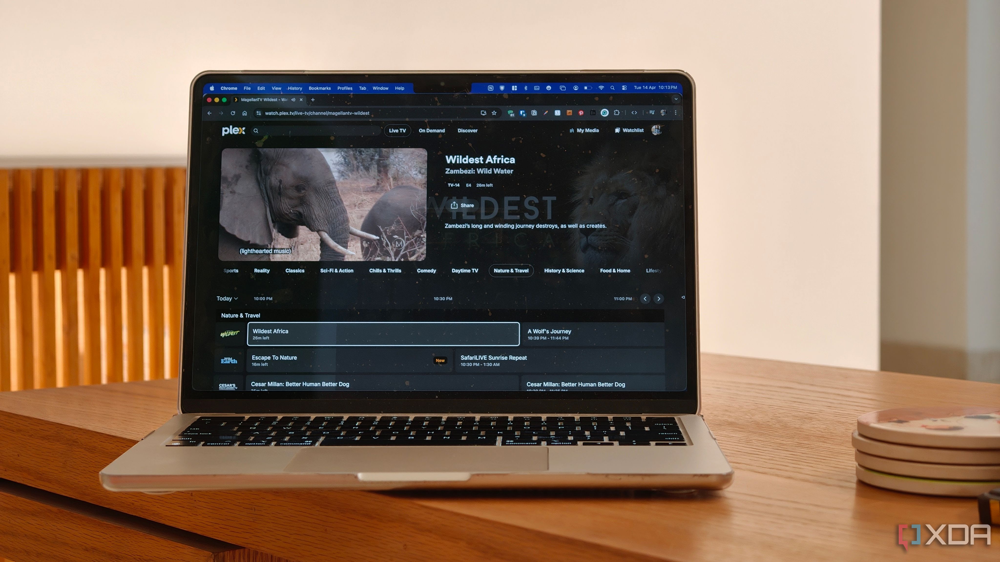 Plex’s $750 Plex Pass Lifetime price hike finally convinced me to ...