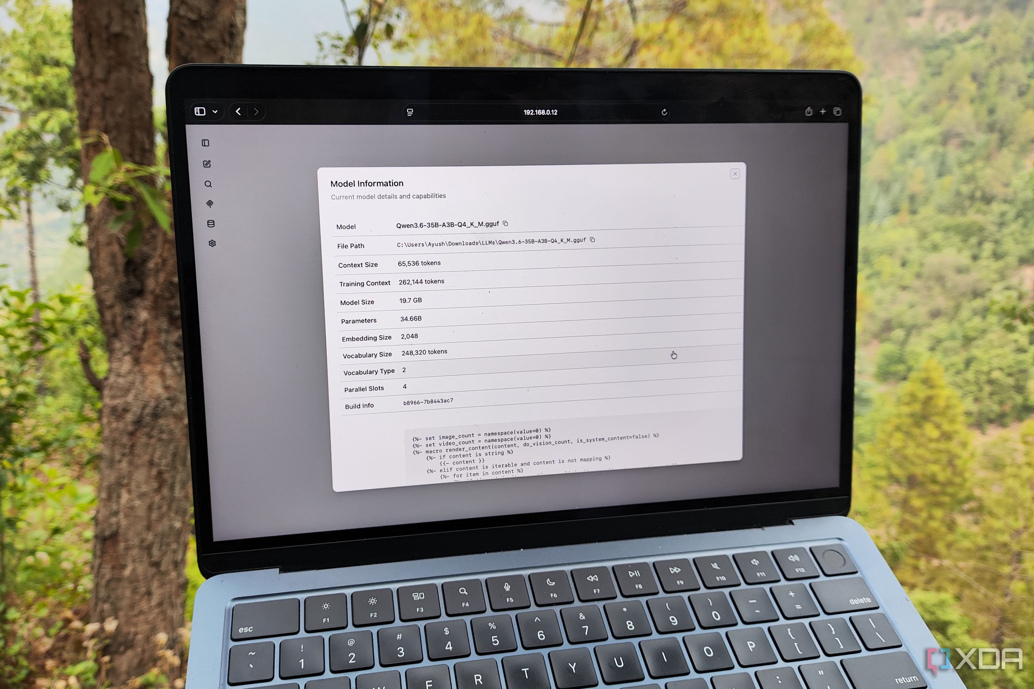 Qwen3.6 runs on native hardware