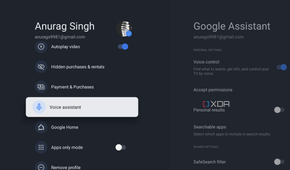 Google TV profile voice assistant