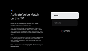 Google TV voice search setup