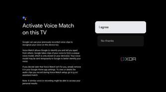 Google TV voice search setup