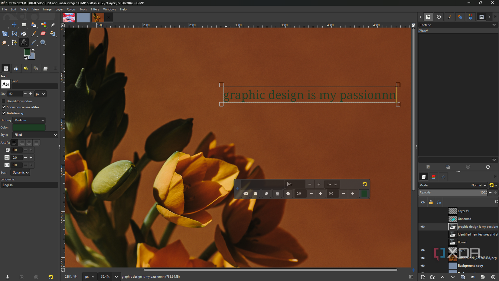text editor in gimp