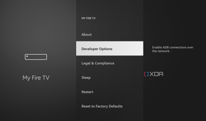 developer options in Fire TV Stick