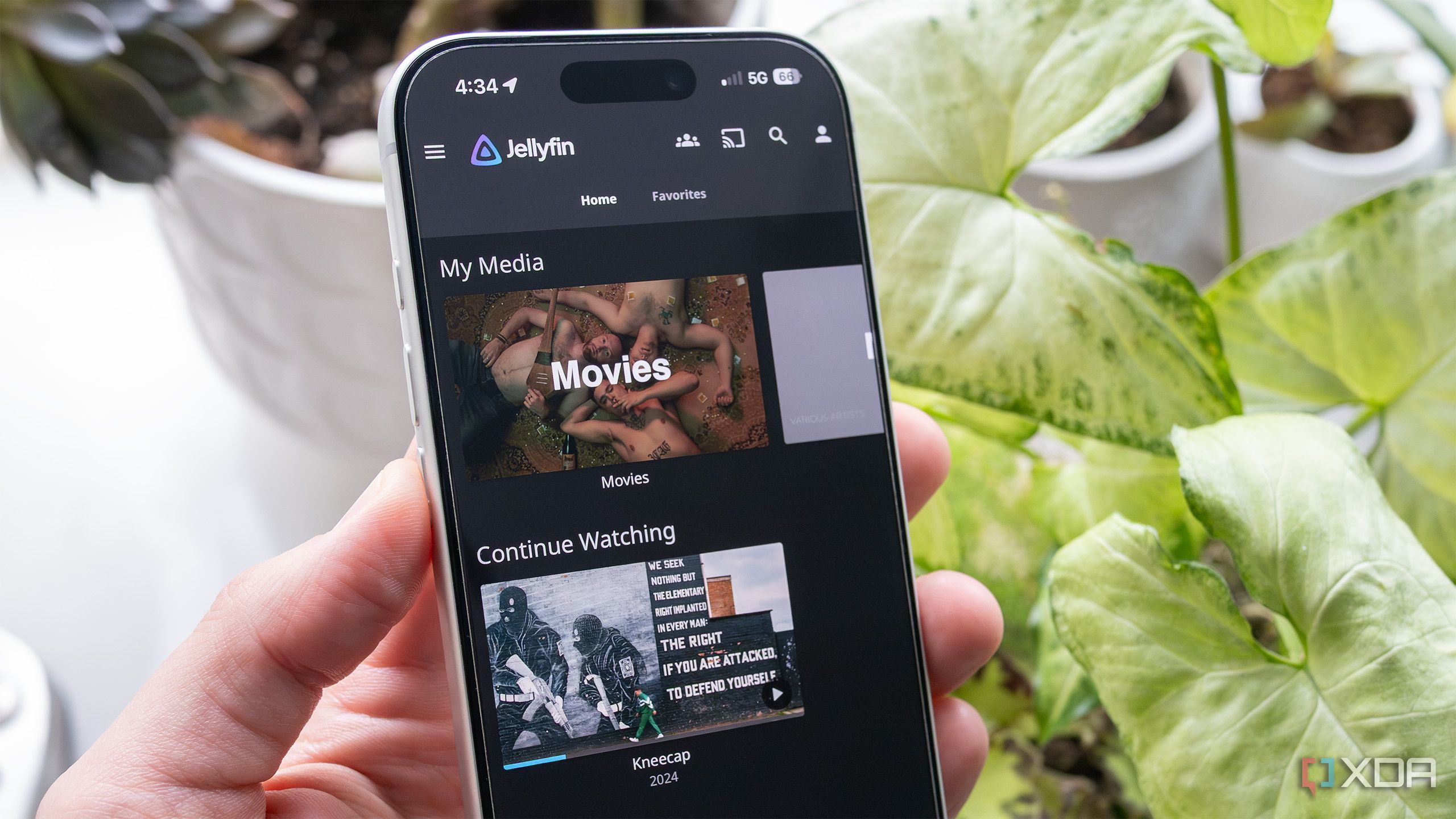 I couldn’t get Jellyfin remote streaming working until I found this app
