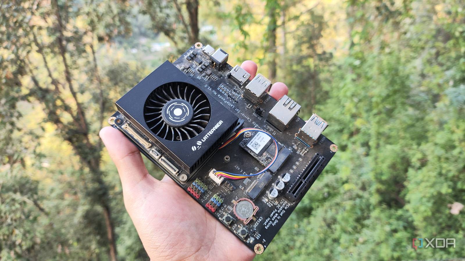 10 Key Insights for Building a Budget 4K Jellyfin Server with Intel Quick Sync