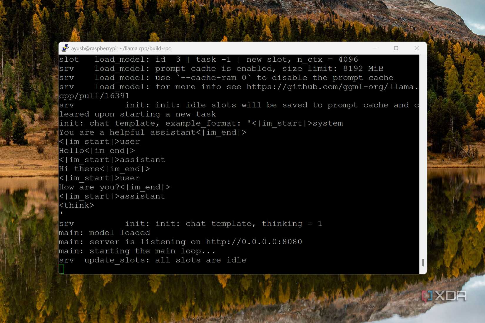 Loading the llama.cpp model into the cluster