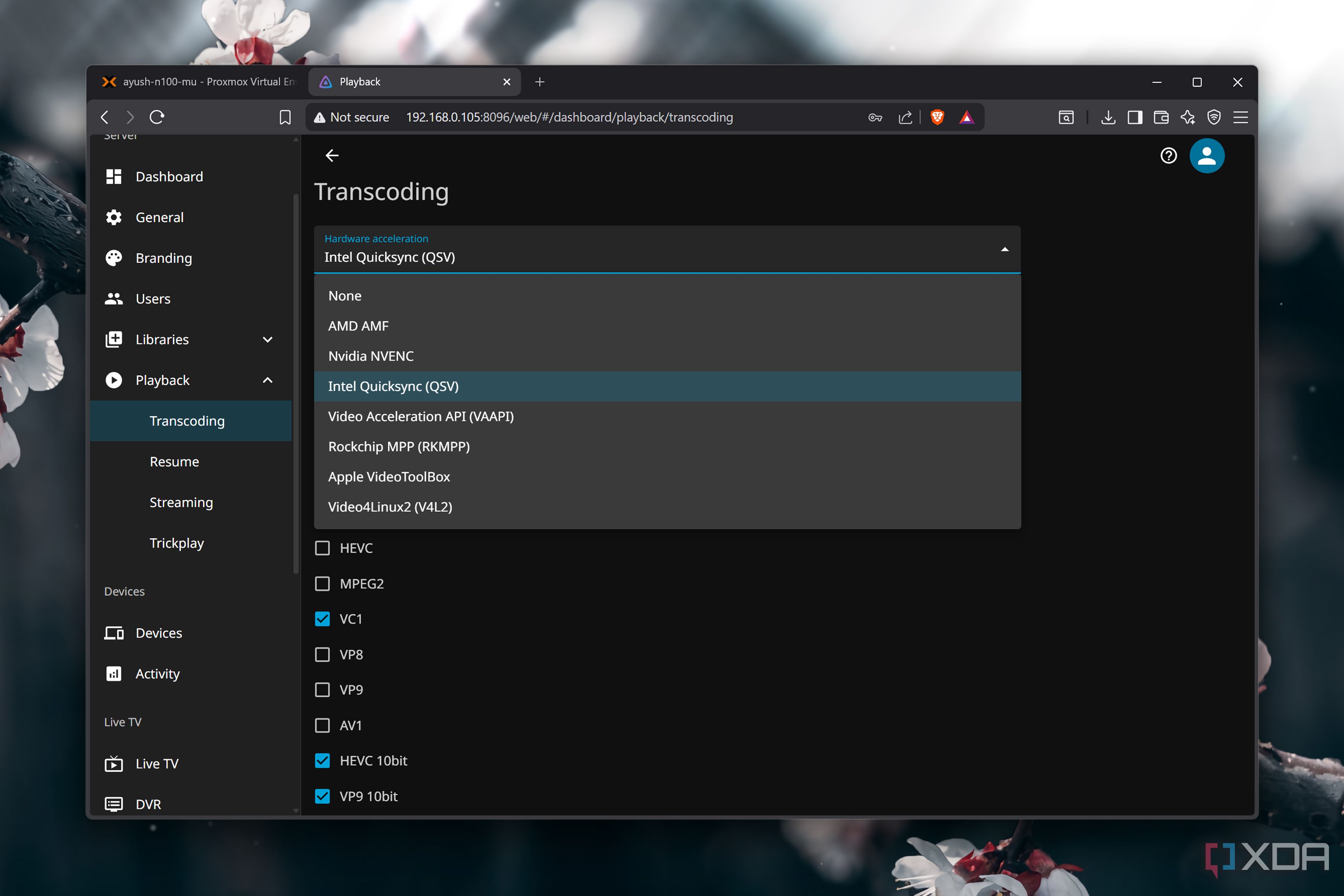 I built a 4K Jellyfin server with Intel Quick Sync for under $200, and ...