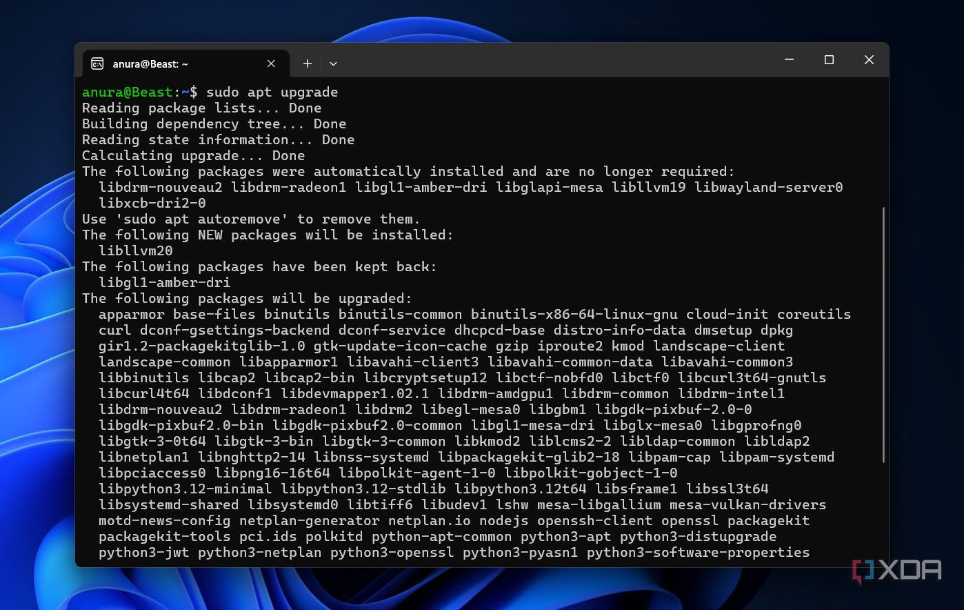 I ran Linux for two years without actually understanding it, and WSL2 ...
