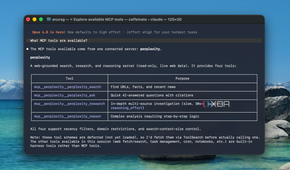 Claude code showing Perplexity MCP