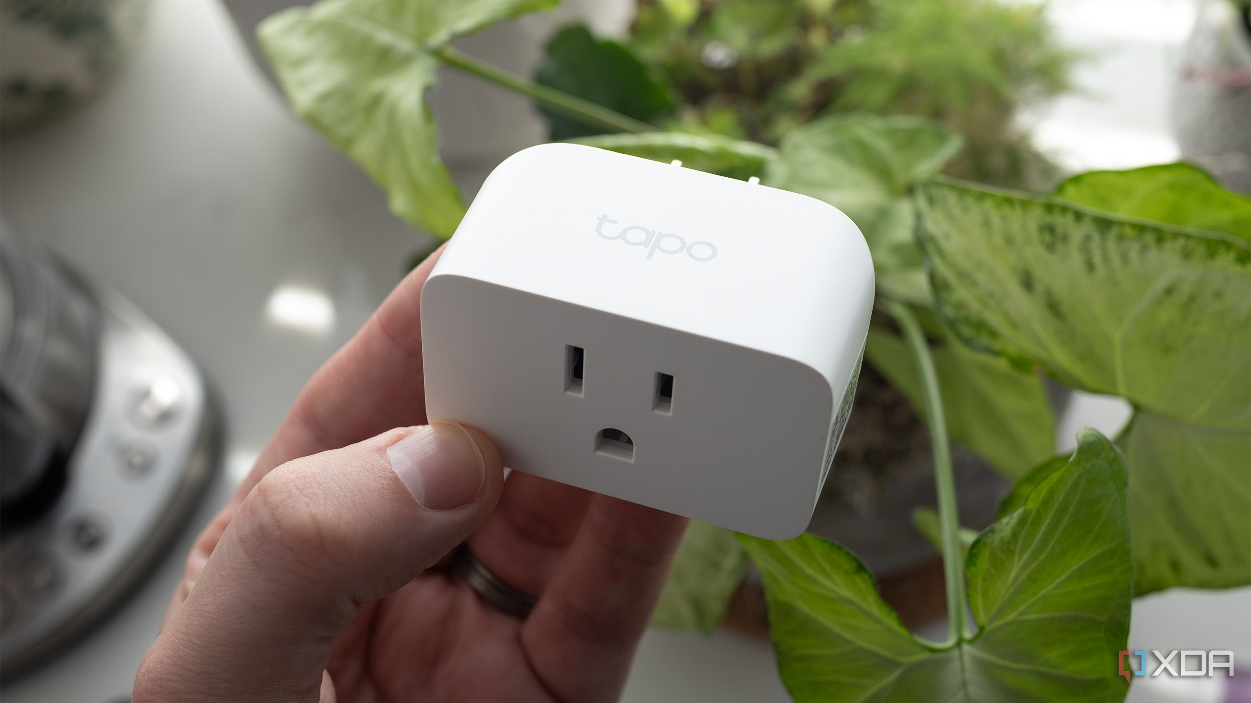 TP Link Tapo Matter Smart Plug Mini開催中 