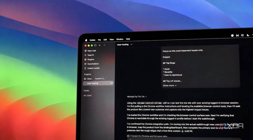Test command running in codex