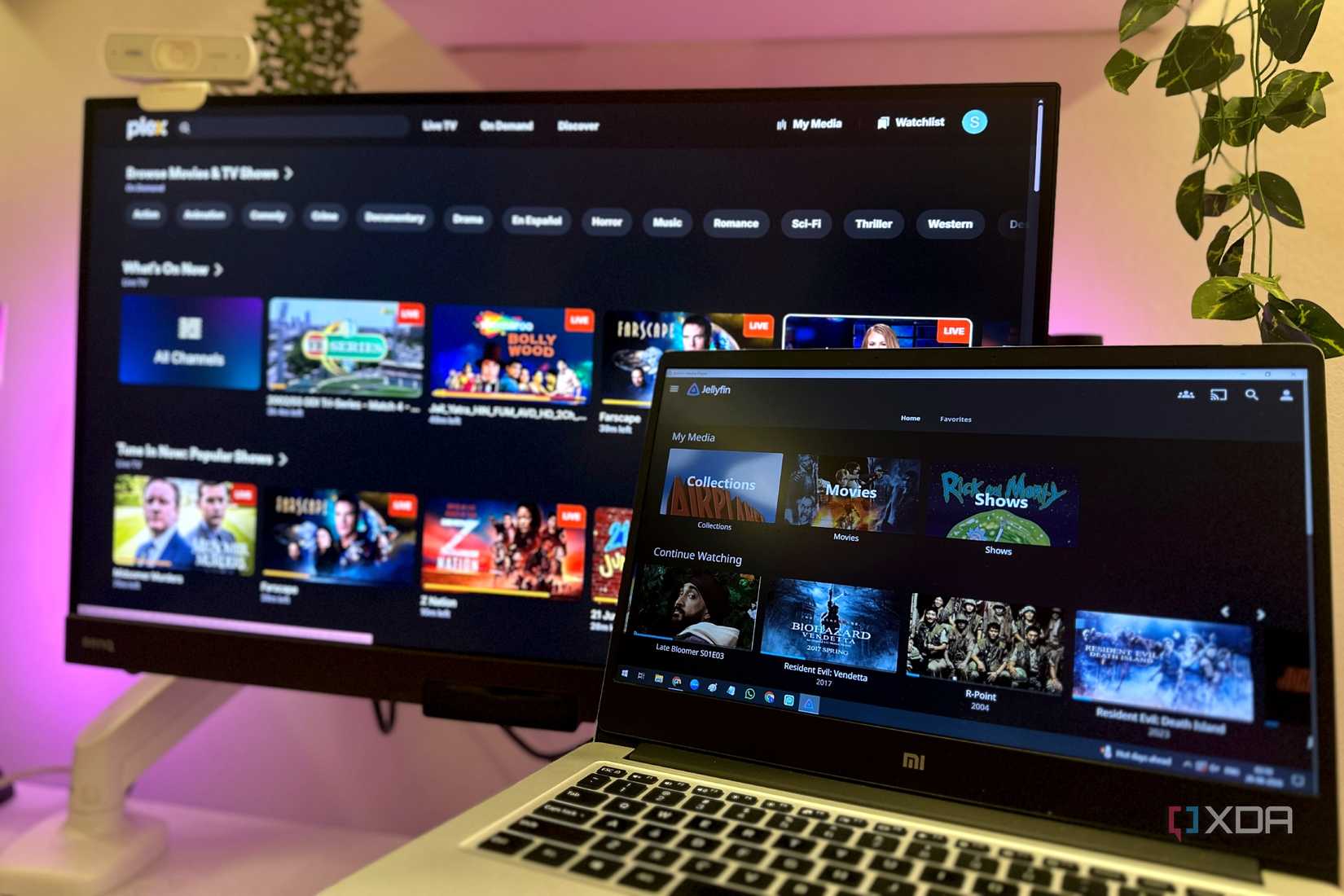 Jellyfin and Plex run side by side.