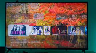 A TV displaying the Watch Next row in Projectivy launcher for Android TV