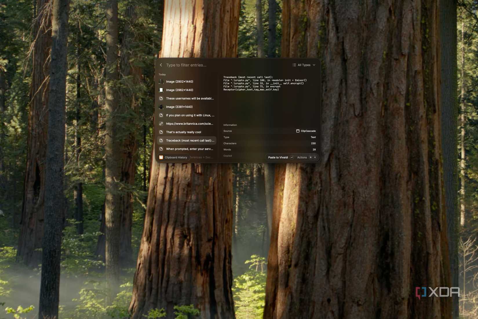Screenshot of Raycast clipboard history showing an entry added by ClipCascade