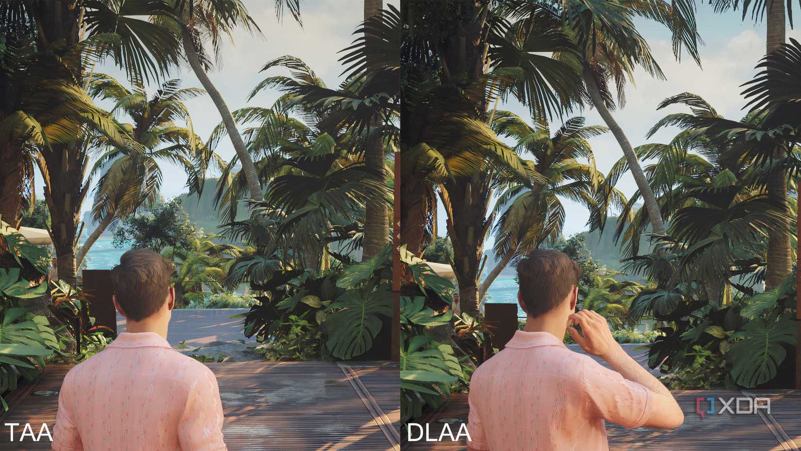 Comparison of TAA and DLAA