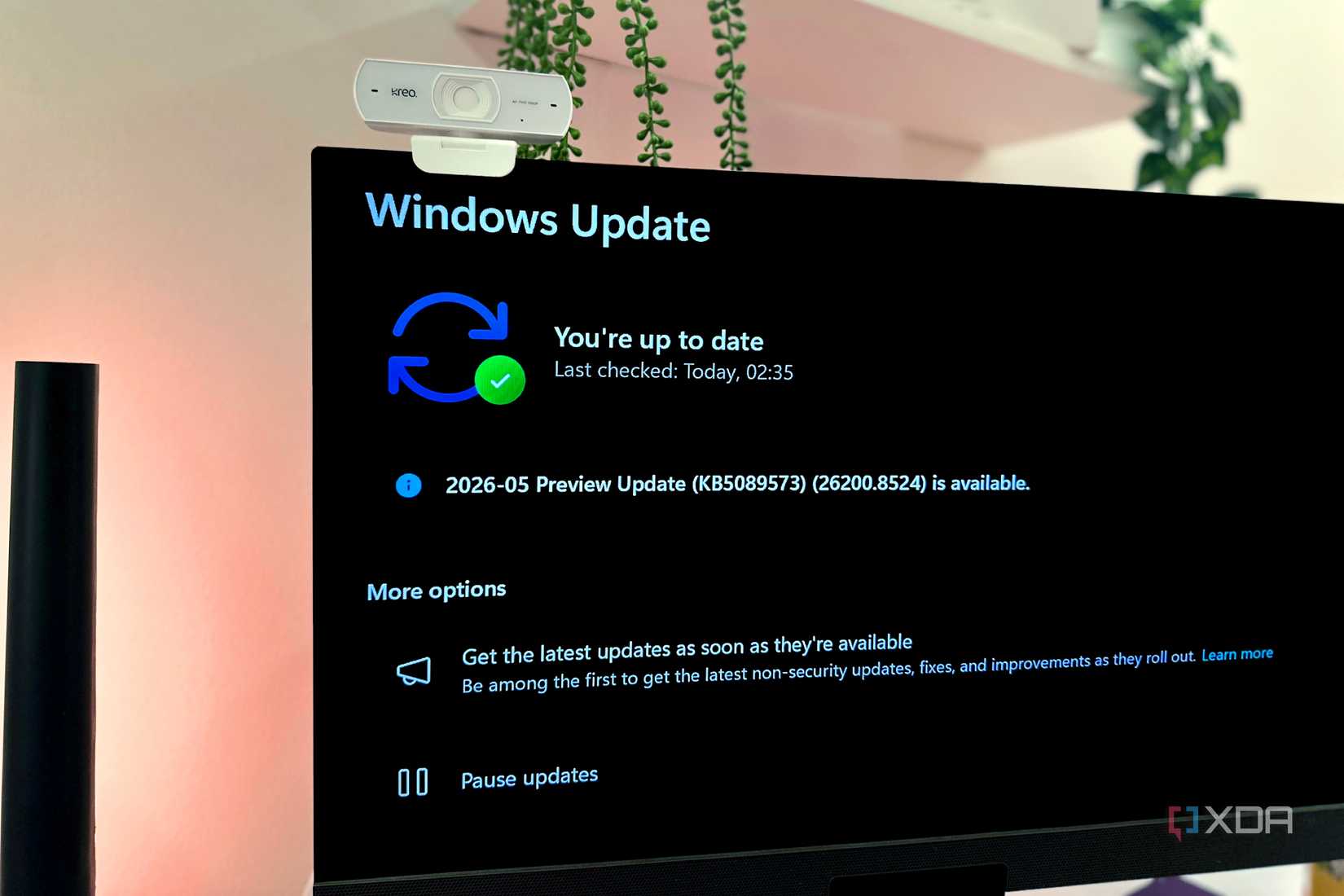 Windows 11's update settings on a monitor.