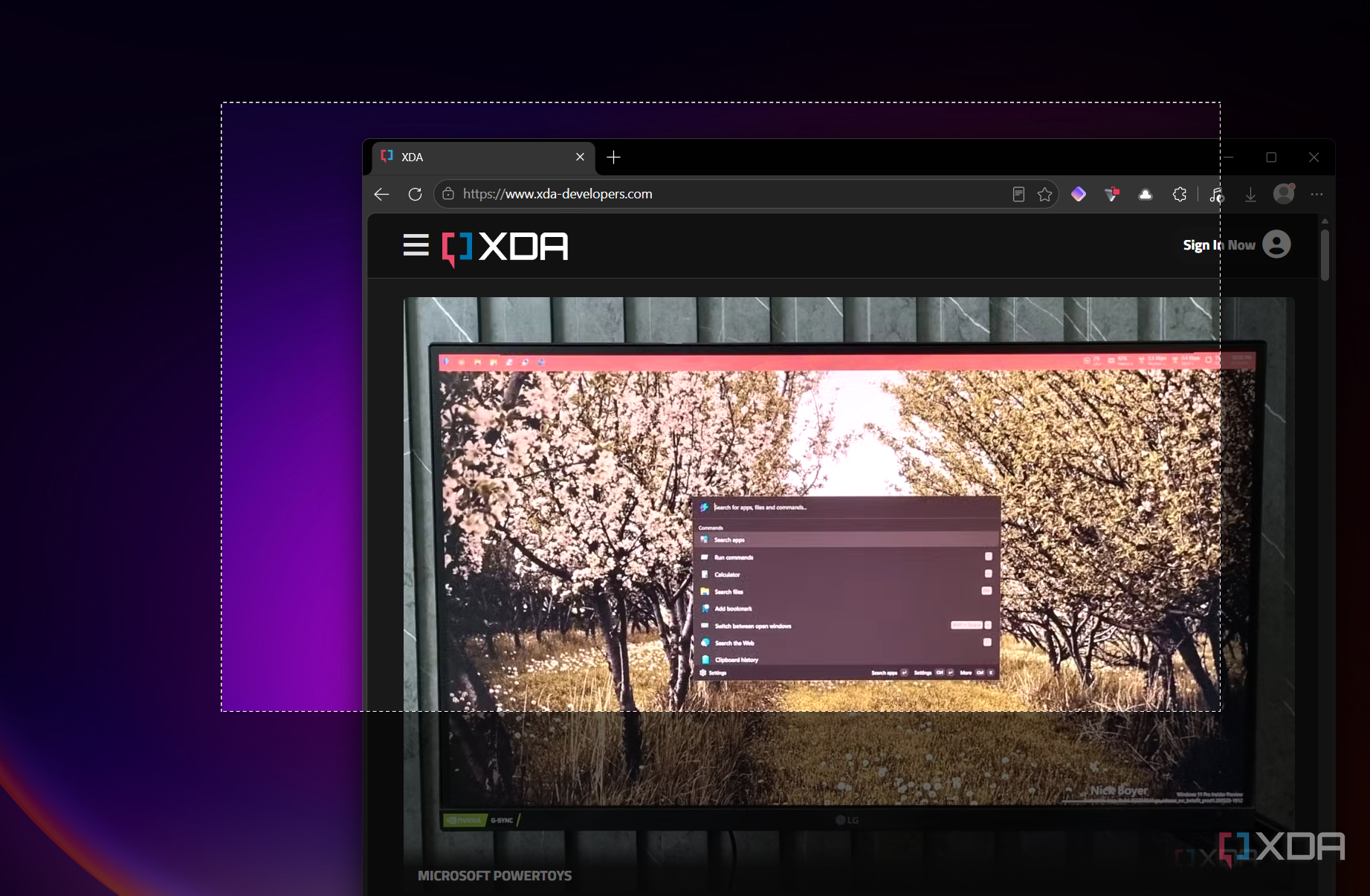 snipping tool taking section