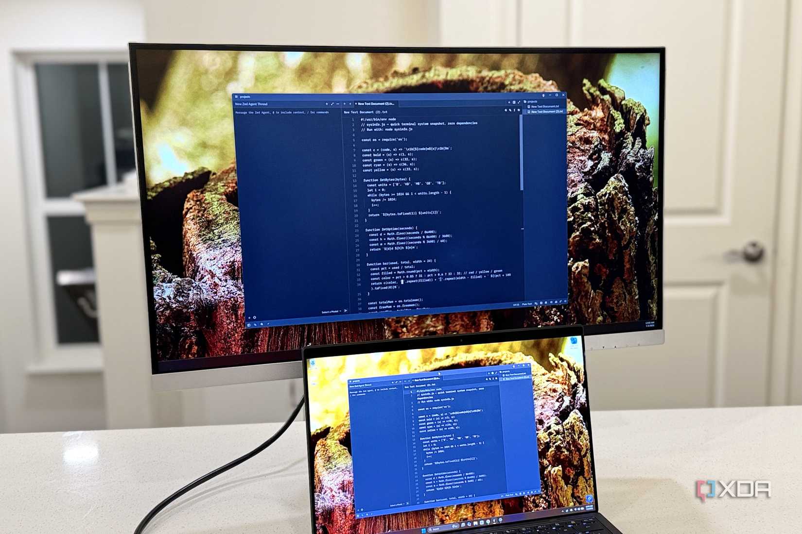 coding on led monitor next to oled laptop