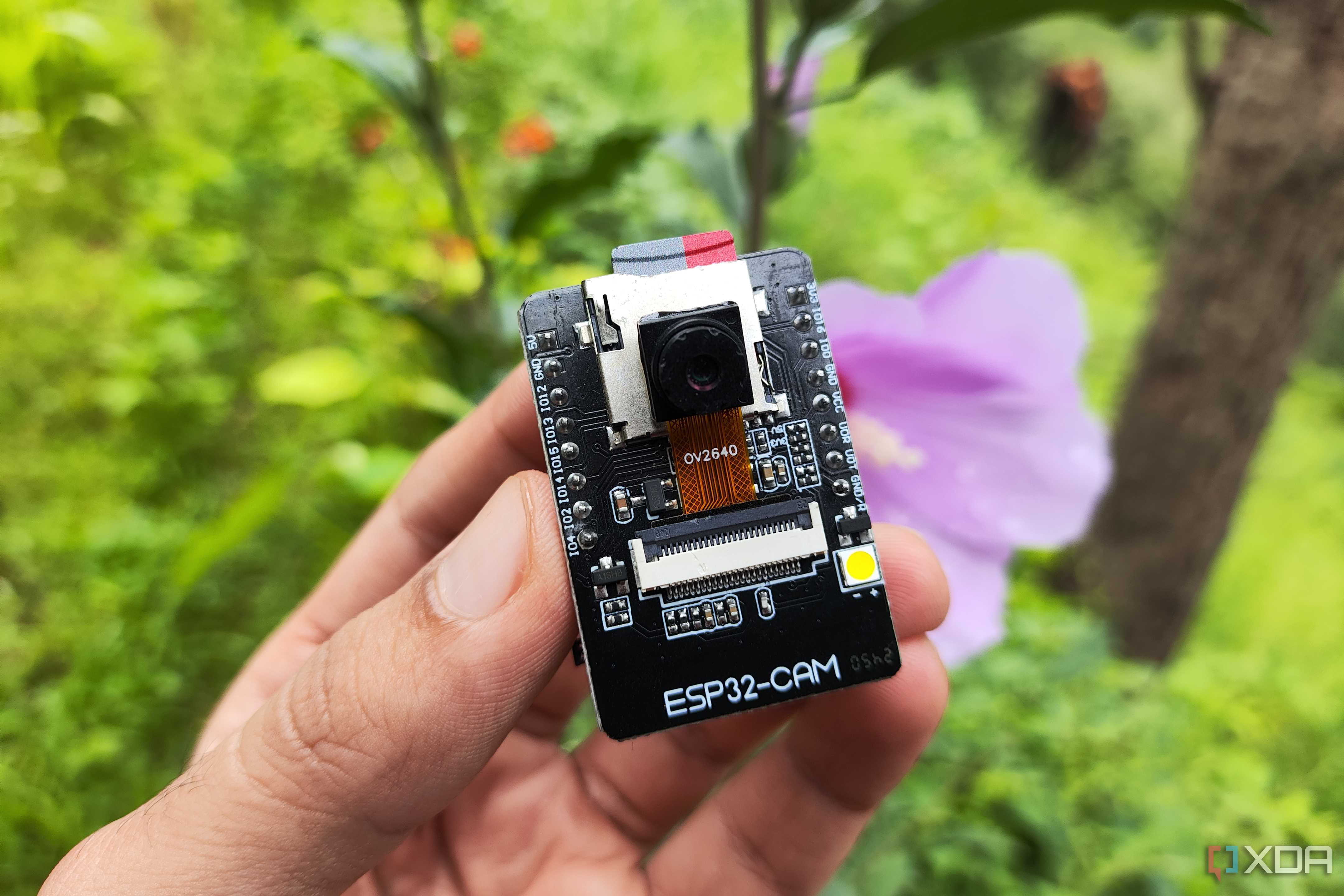 A person holding an ESP32-CAM board