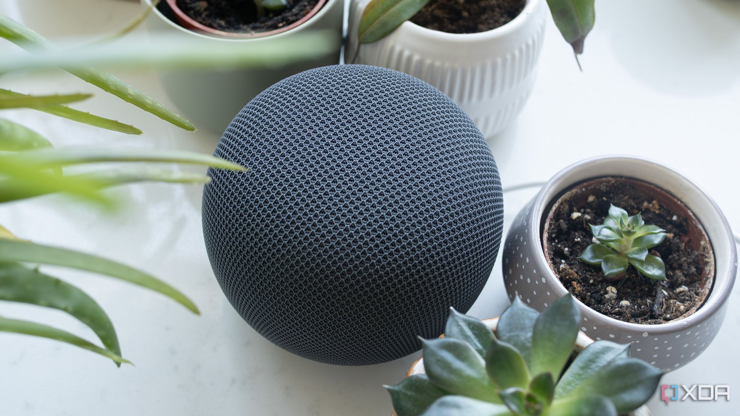 google-home-speaker-2026-top-down