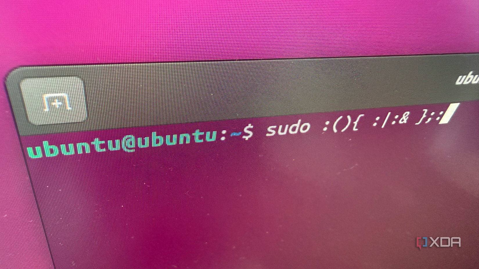 The forkbomb command typed into the terminal