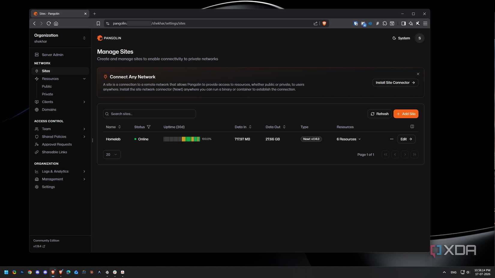 Pangolin dashboard showing Homelab site online with 100% uptime and Newt logged in
