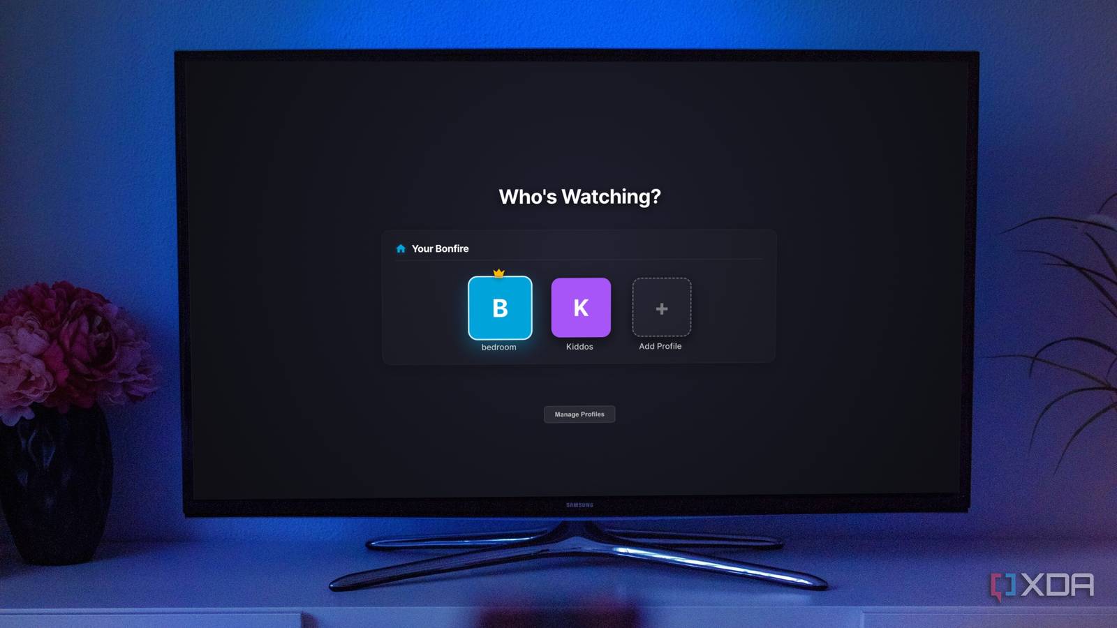 Jellyfin became so much better after I installed this profile plugin