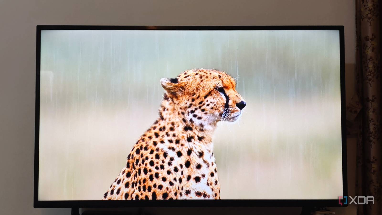 Descobri por que minha smart TV fica pior em casa do que na loja