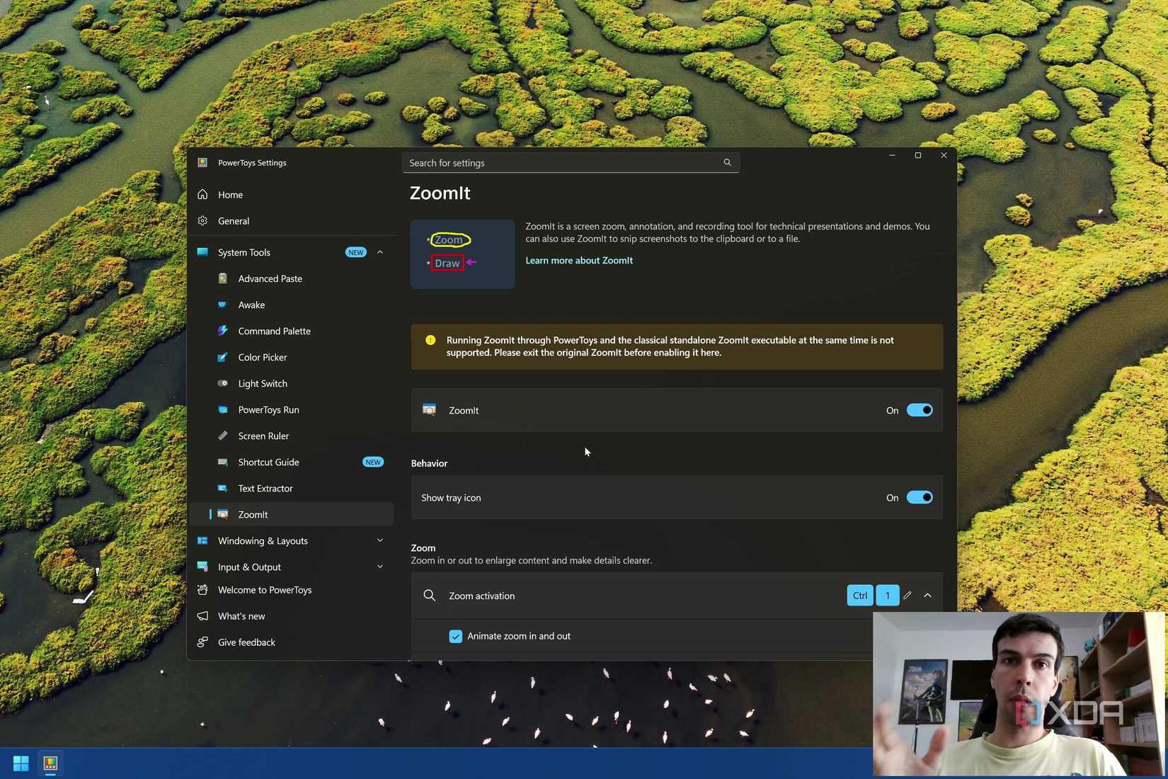 A screenshot of ZoomIt on Windows 11 with a webcam overlay 