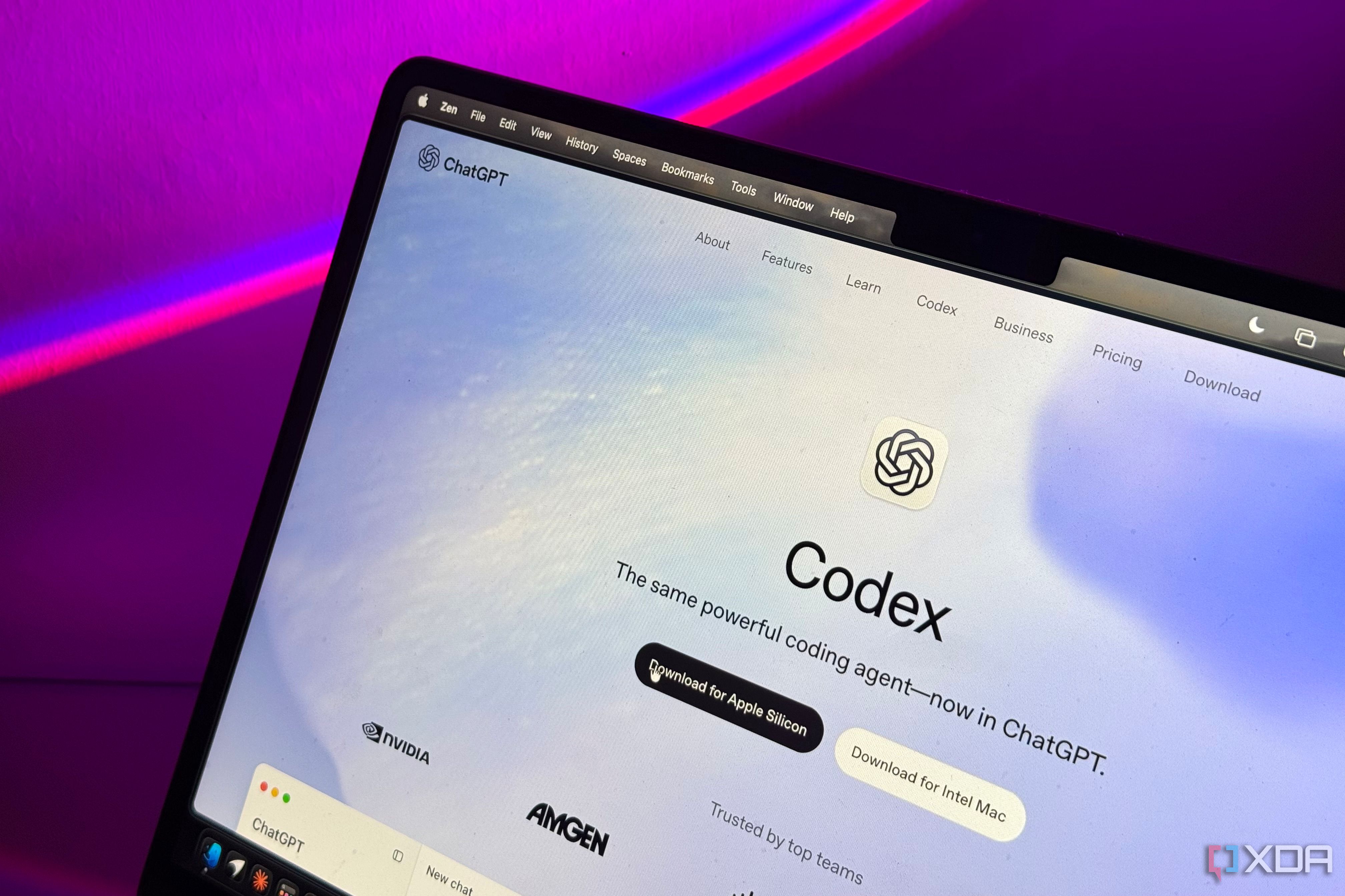 Codex download page on MacBook