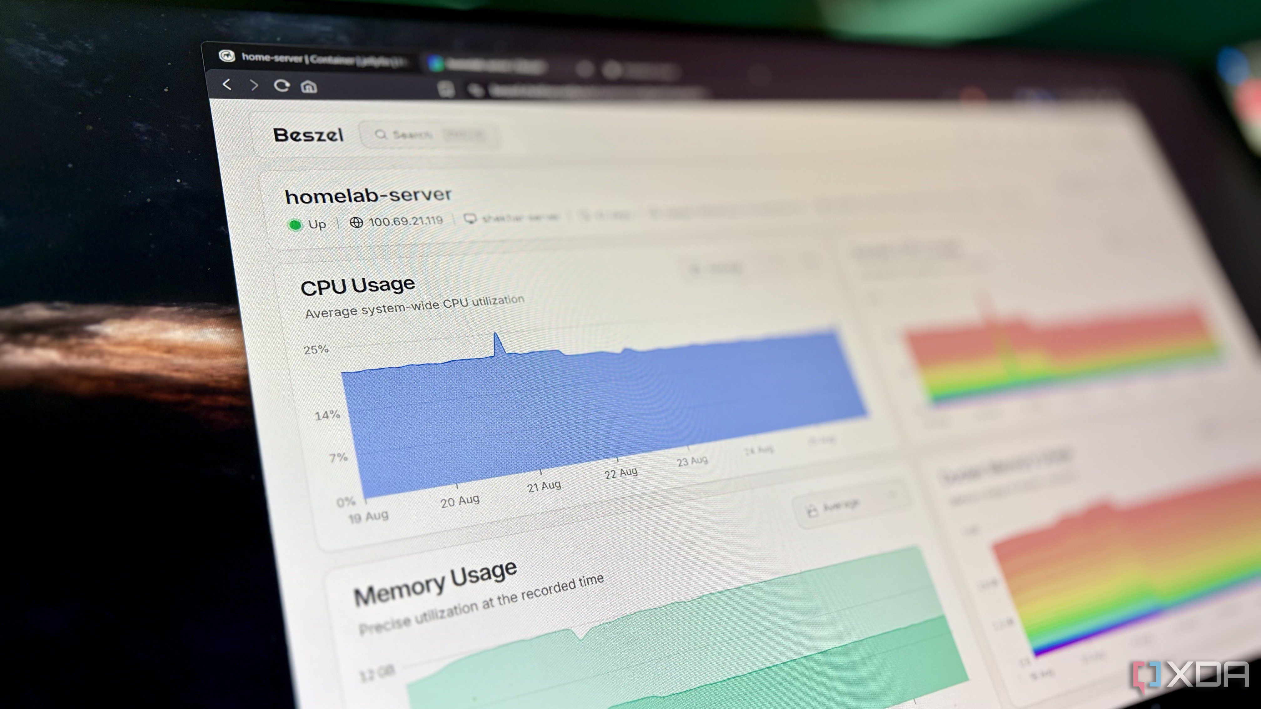 A screen showing flat, stable CPU and memory usage graphs on a homelab dashboard