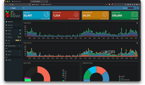 Pi-hole dashboard showing 53,407 total queries and 14.1% blocked after 24 hours