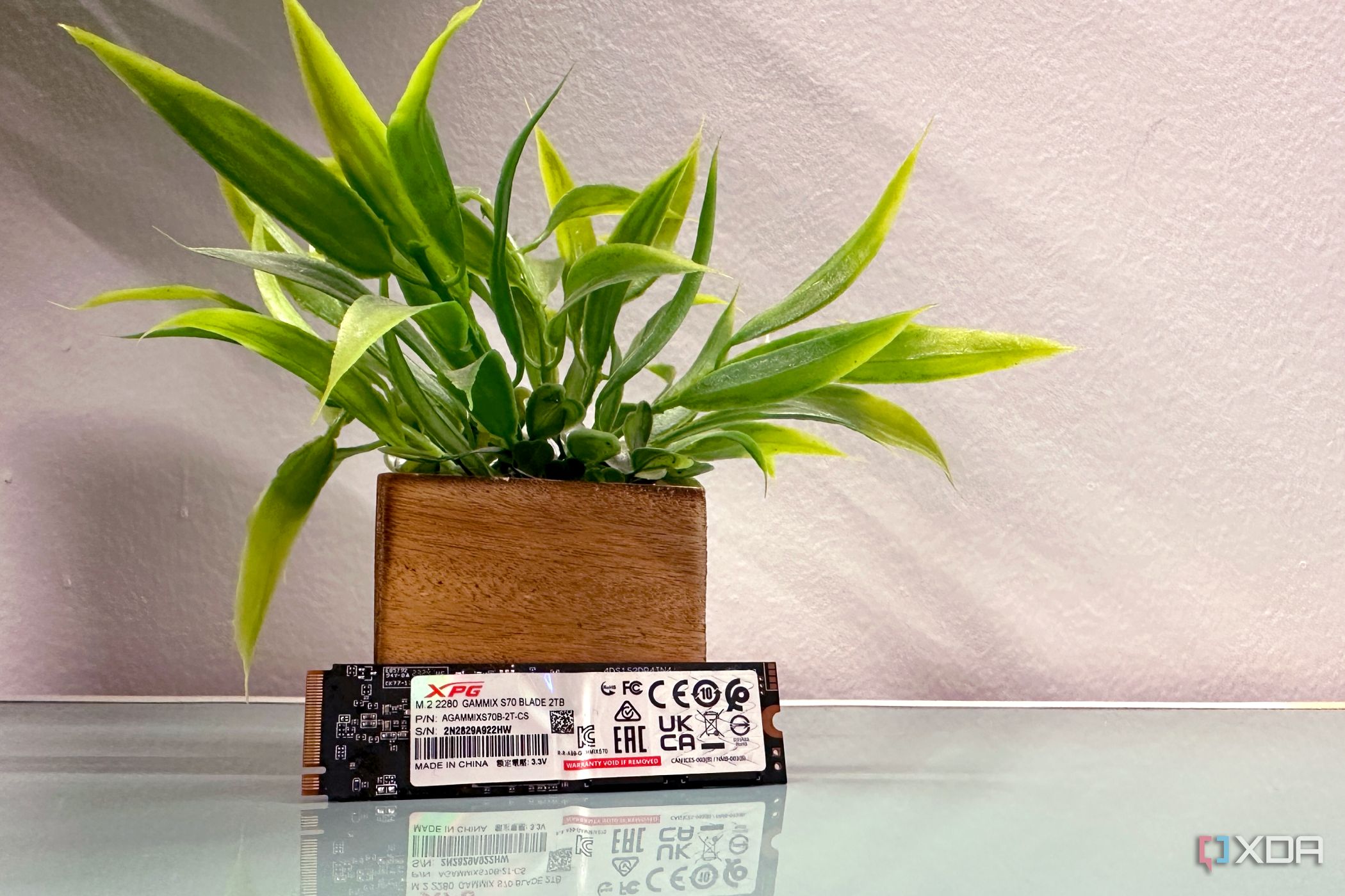 XPG Gammix S70 Blade 2TB SSD propped against a plant.