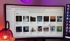 Immich albums page on screen