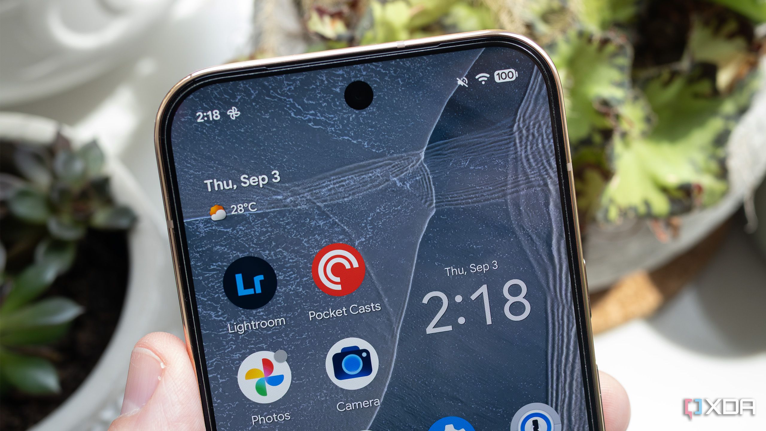 The Pixel 11 Pro's front camera 