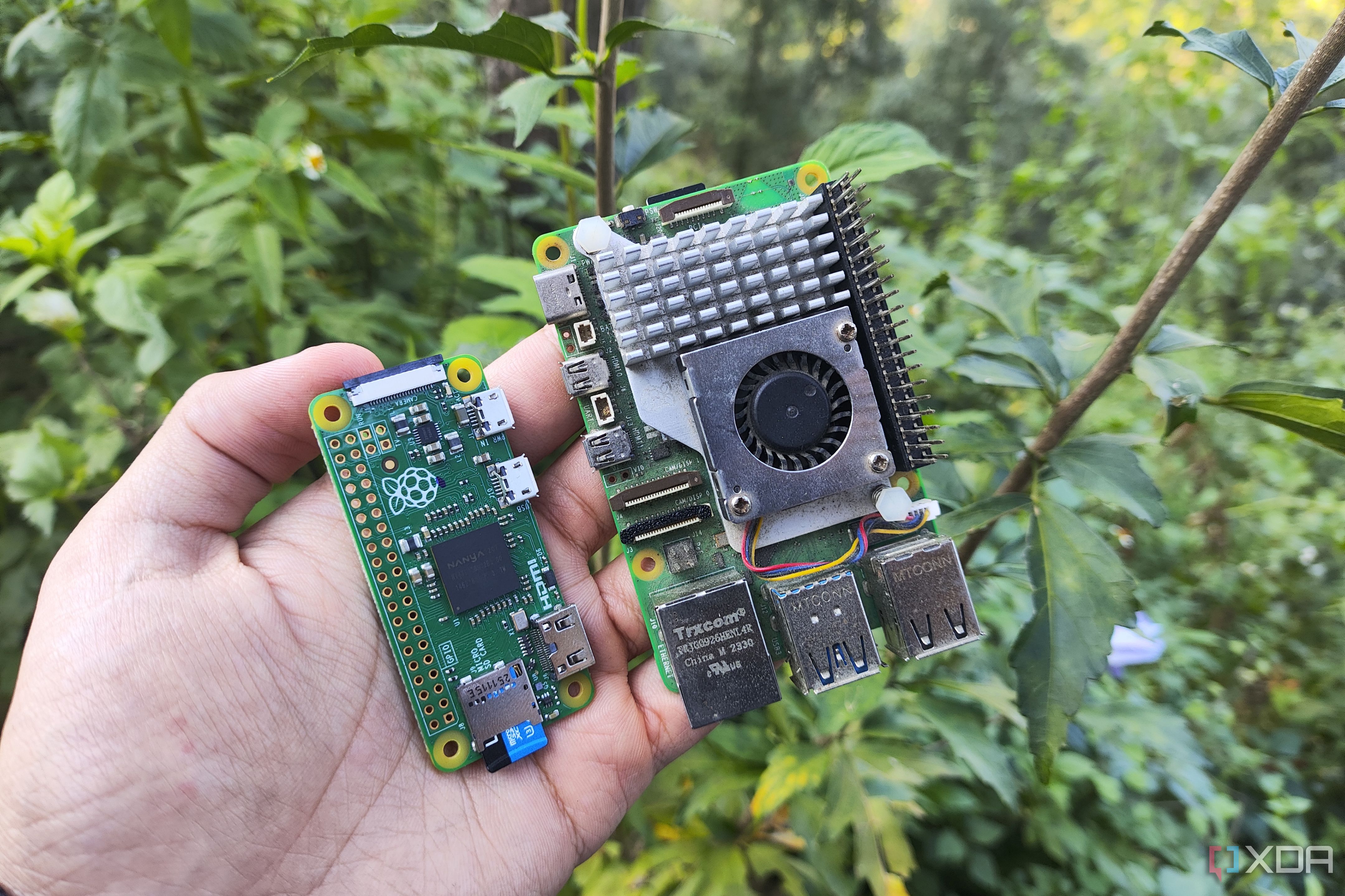 A person holding two Raspberry Pi SBCs